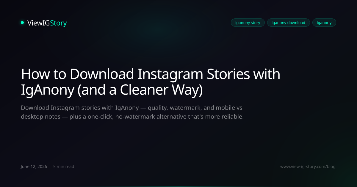 How to Download Instagram Stories with IgAnony (and a Cleaner Way)