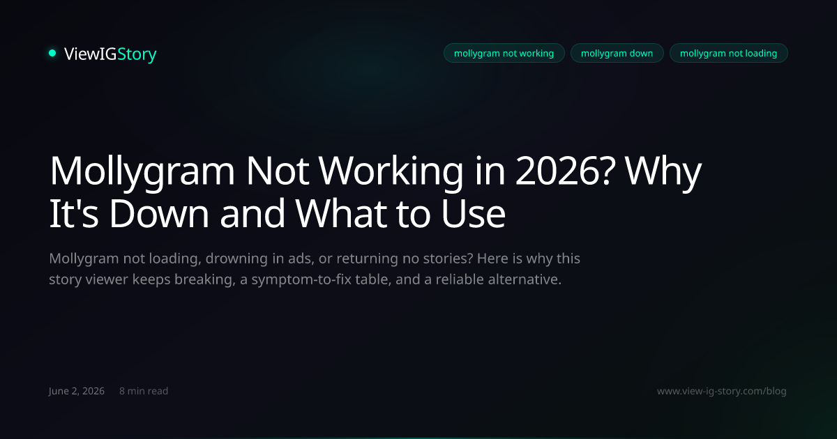Mollygram Not Working in 2026? Why It's Down and What to Use