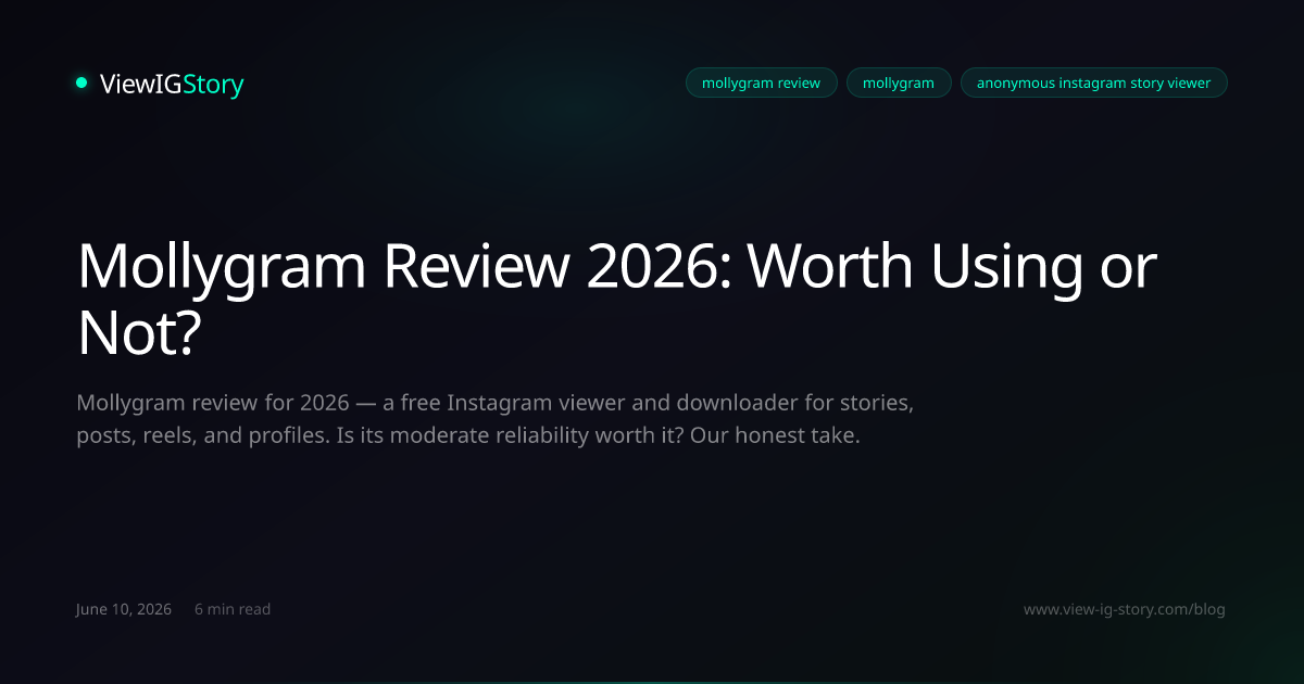 Mollygram Review 2026: Worth Using or Not?
