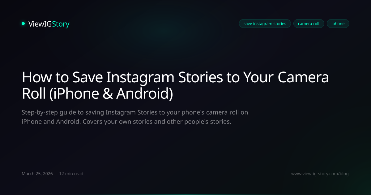 How to Save Instagram Stories to Your Camera Roll (iPhone & Android)