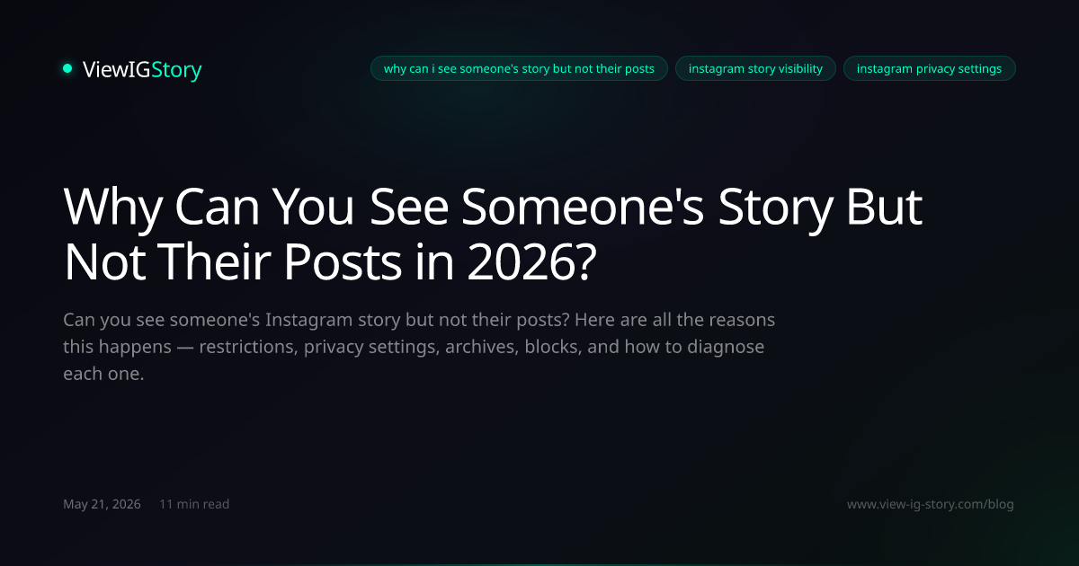 Why Can You See Someone's Story But Not Their Posts in 2026?