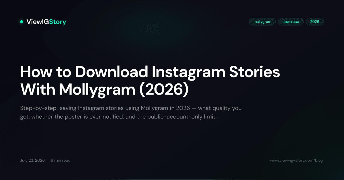 How to Download Instagram Stories With Mollygram (2026)