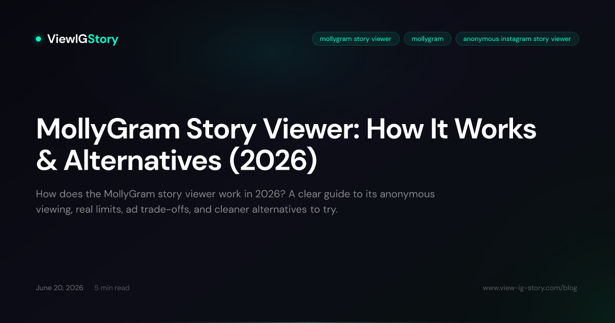 MollyGram Story Viewer: How It Works & Alternatives (2026)