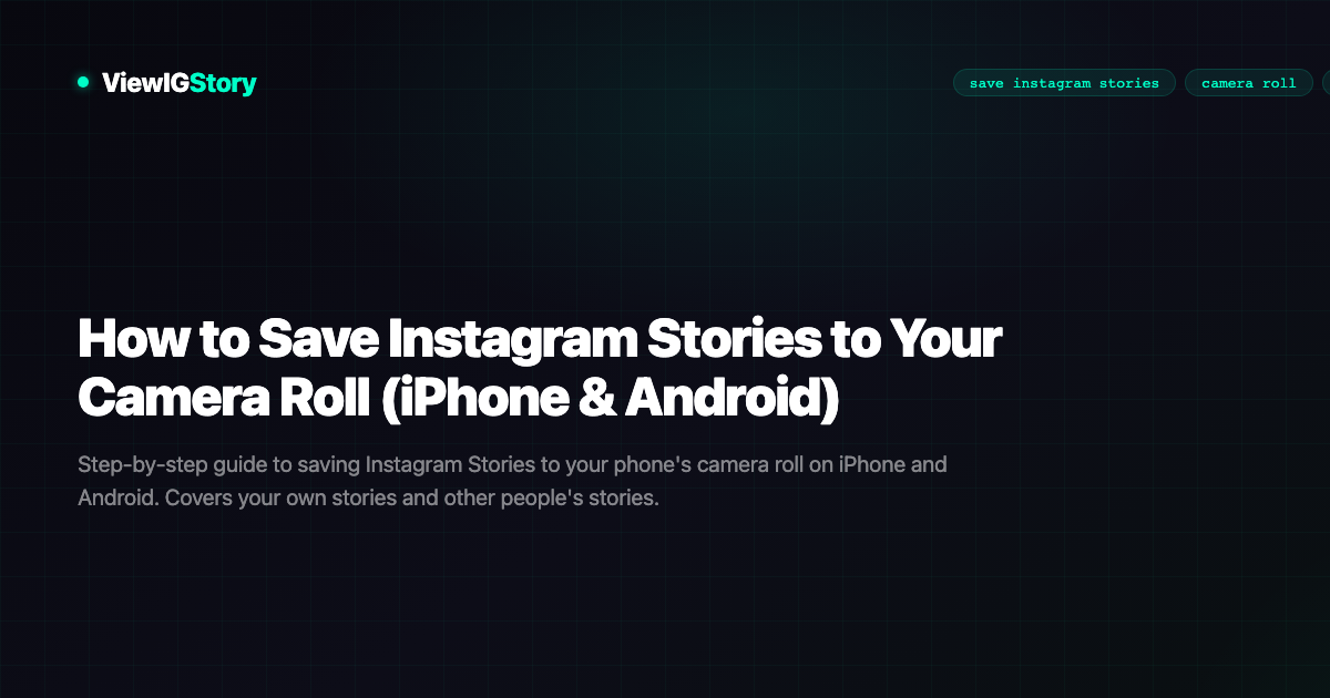 How to Save Instagram Stories to Your Camera Roll (iPhone & Android)