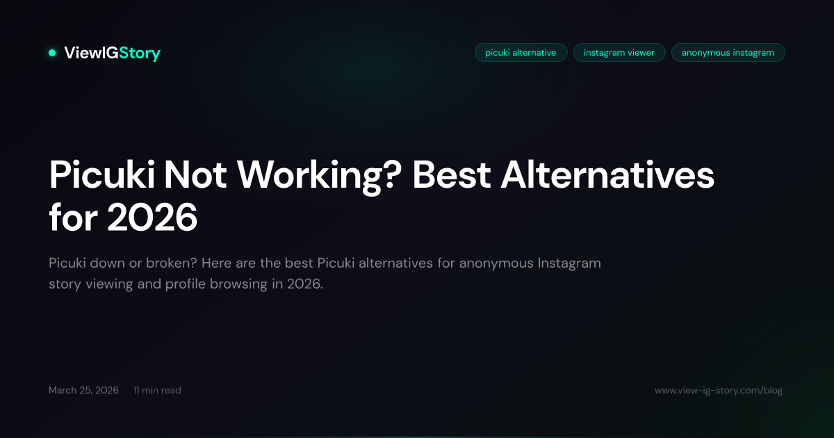 Picuki Not Working? Best Alternatives for 2026